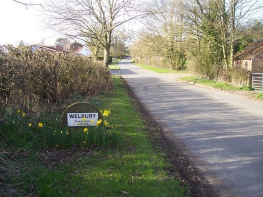 Daffodil by the Welbury Village sign